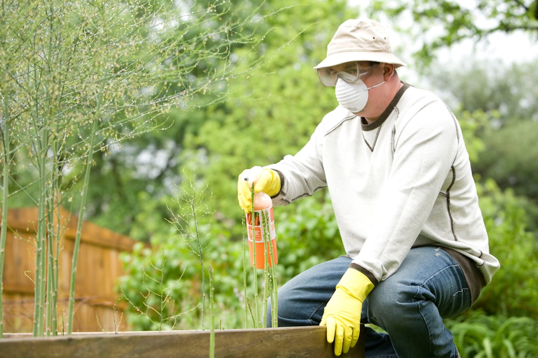 About Gardening is a very beneficial activity, not only for the environment, but for those who partake in this exercise. After properly reading the instructions, this man was in the process of applying pesticide spray to his raised-bed home garden.